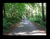 We found out about the Anacortes city park from a local and got to enjoy an afternoon there.